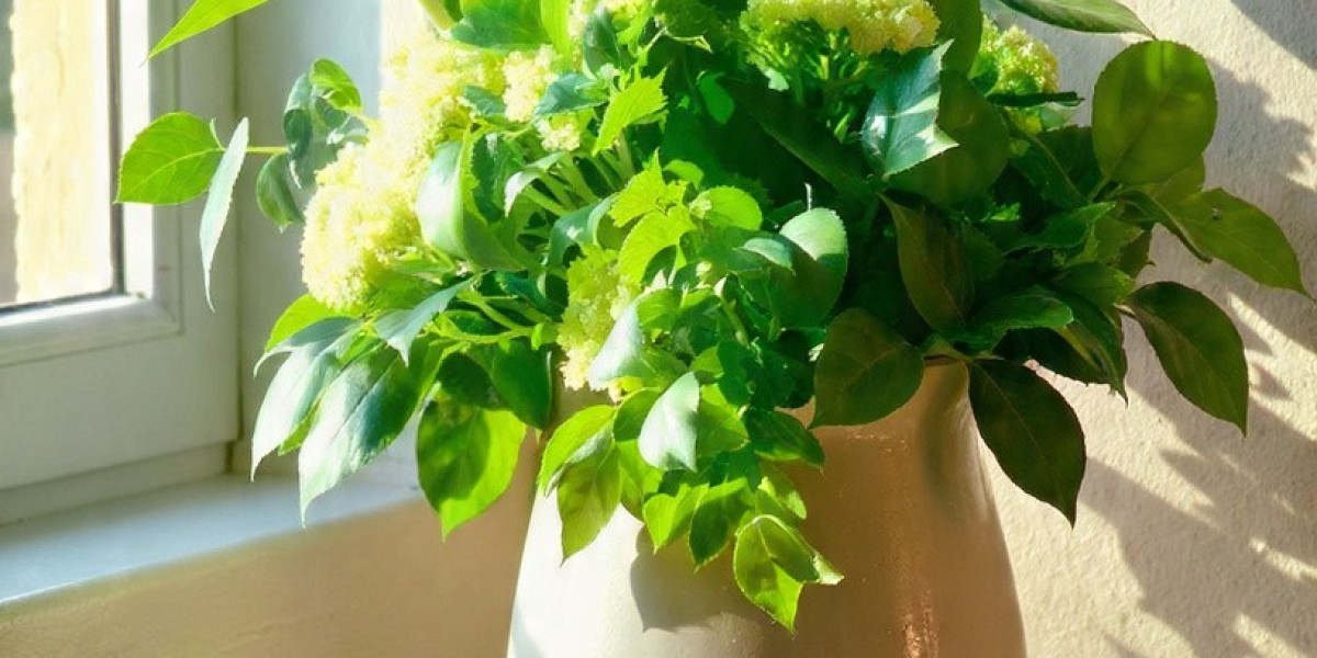 Why a Real plant bouquet Can Transform Your Space—By The Spiritual Green