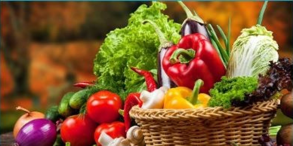 How Frozen Food Moves Worldwide: Exporting, Importing, and Distribution Explained