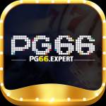 pg66expert pg66expert
