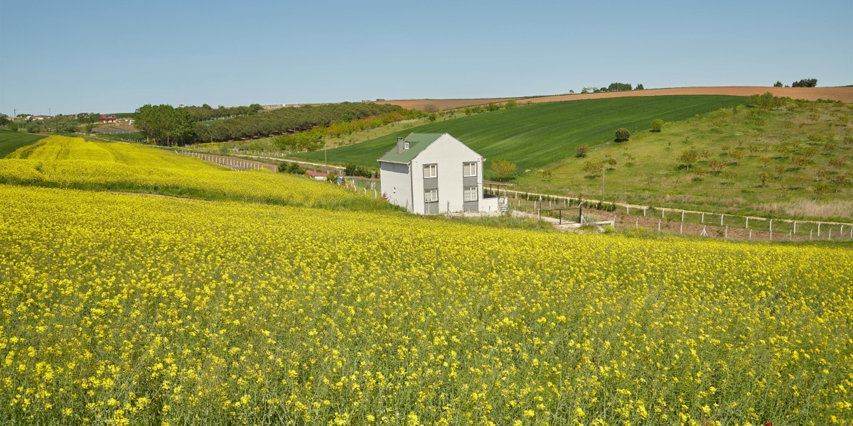 Mechanics breakdown: Key triggers behind Farrul's Rune of the Chase