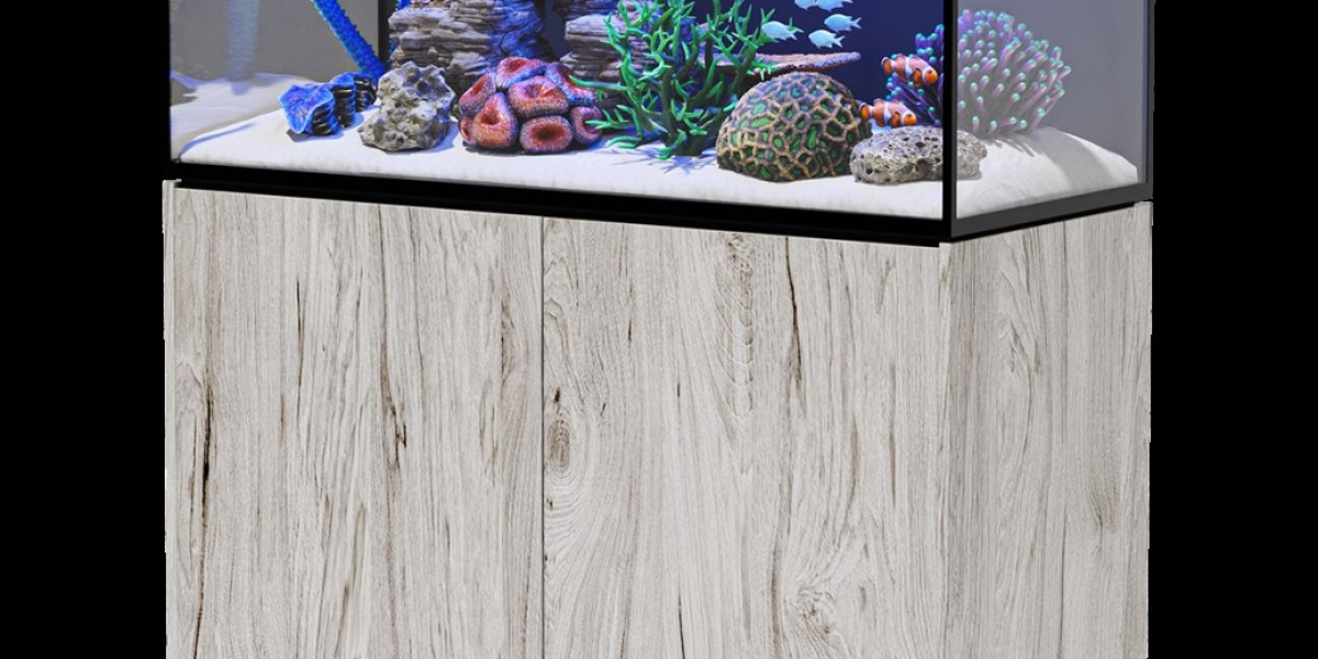Online Aquarium Store UK – Everything You Need for a Thriving Aquarium