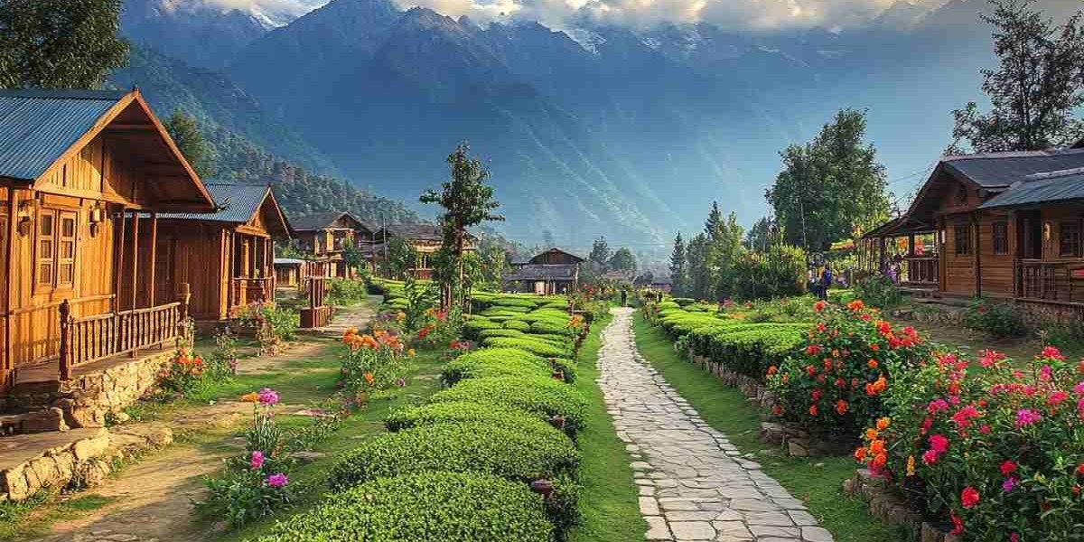 Palampur Travel Guide 2025: Best Places to Visit in Palampur, Tourist Attractions & Complete Travel Tips