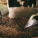 himalayacoffeecompany