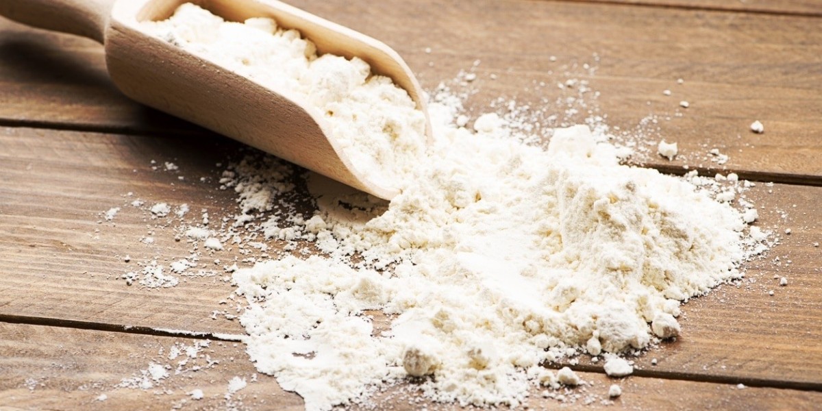 Starch Derivatives Market Trends in Food, Pharma, and Bio-Based Packaging