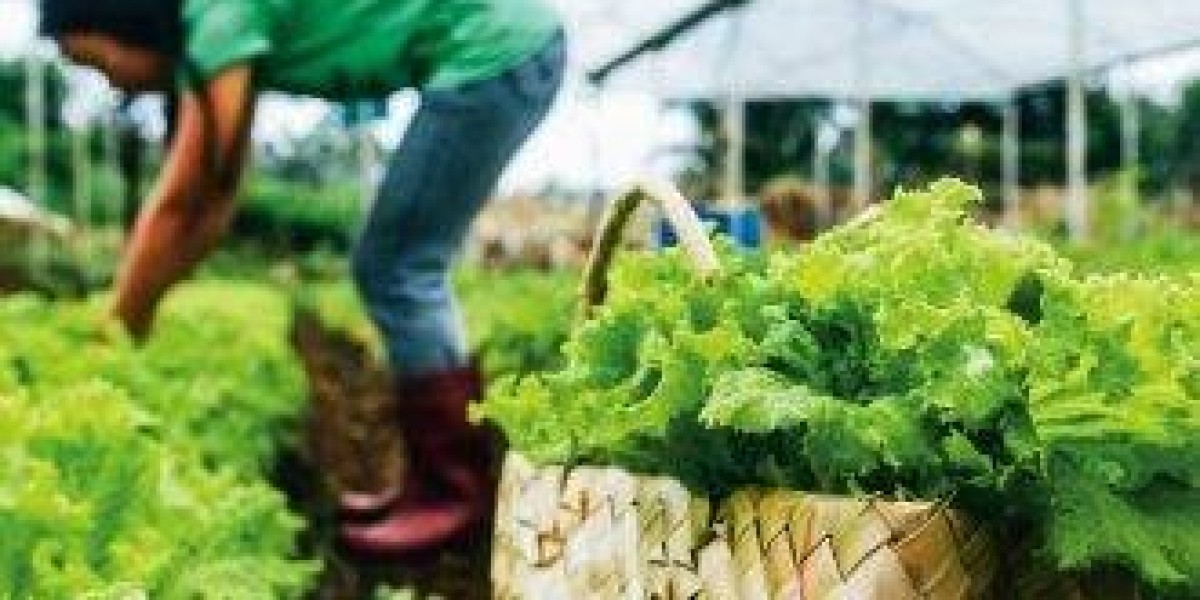 Agritourism Market Developments in Farm Stays and Adventure Tourism