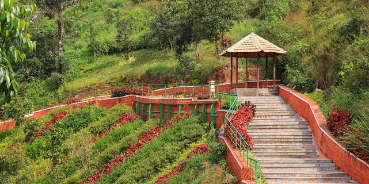 Mysore to Madikeri Cab