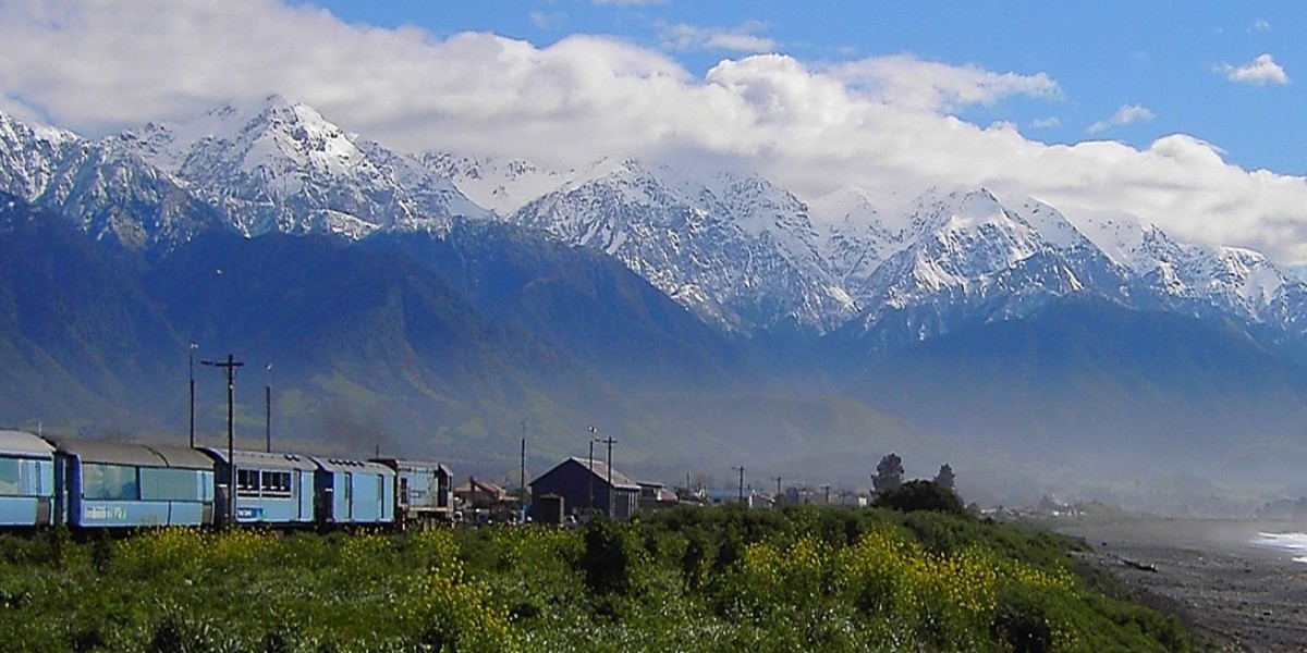 Discover the Magic of New Zealand with Custom Tours by TT Tours