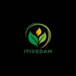itivedam ITIVEDAM profile picture