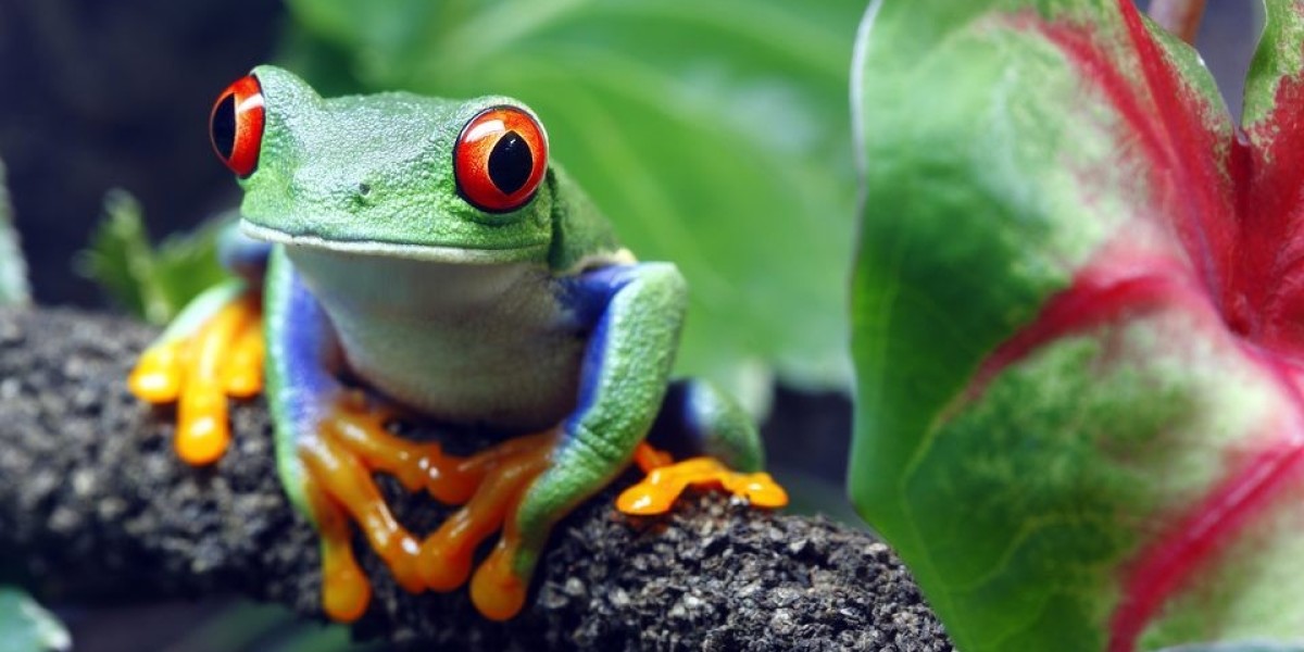 Experiential Student Learning Journeys in Nature, Science and Culture