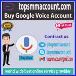 Buy Google Voice Accounts 2026