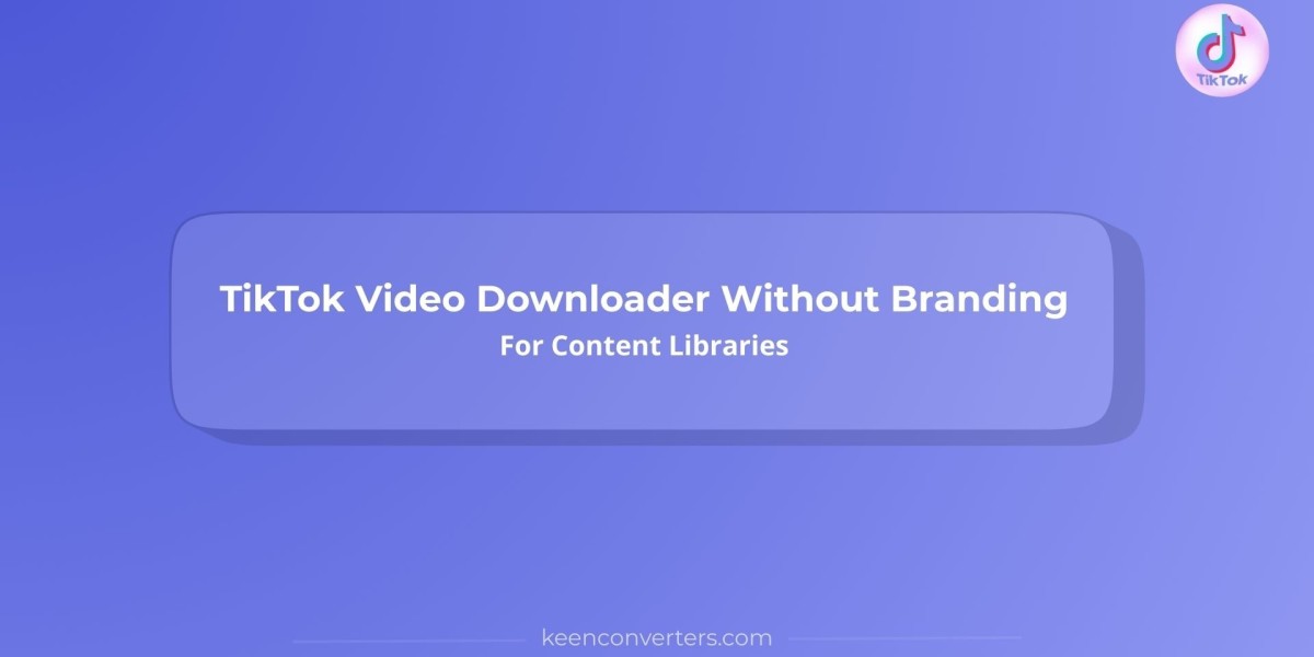 TikTok Video Downloader Without Branding For Content Libraries