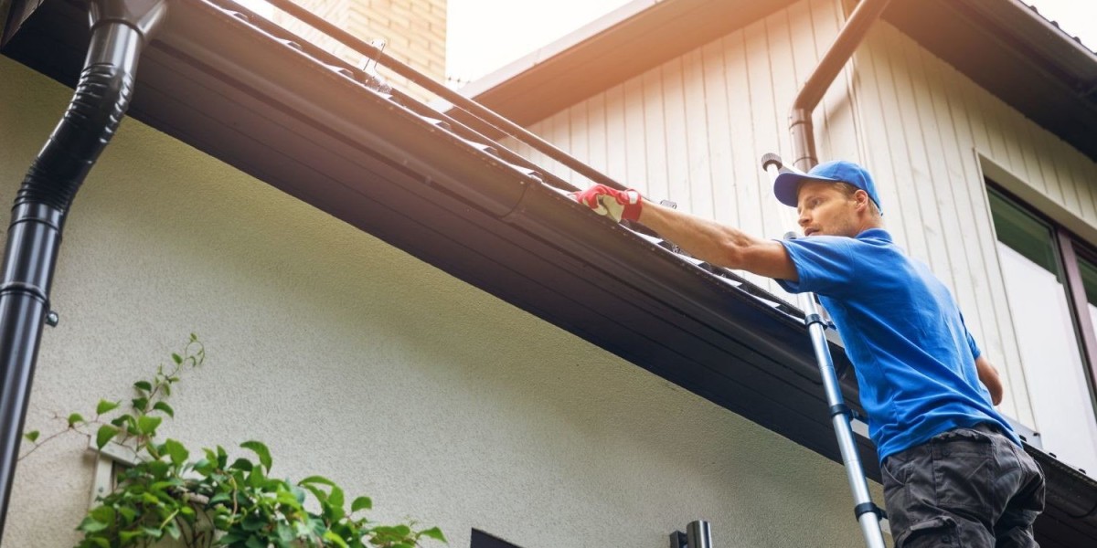 Pressure Washing Delmar