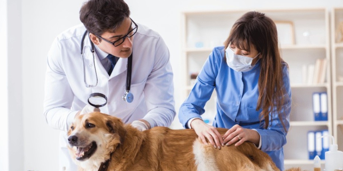 Animal Health Market Size, Share & Report | 2026-2035