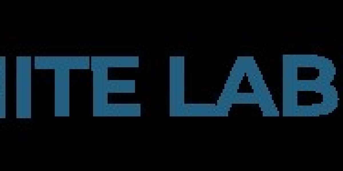 Scale Smarter and Faster with a White Label PPC Reseller in the USA