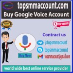 googlevoice3990